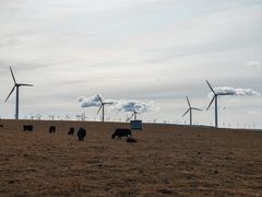 -塞罕坝国家级自然保护区