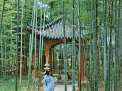 -绳金塔