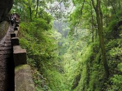-青城山