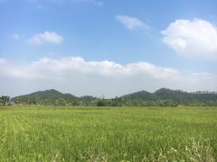 -台山颐和温泉城