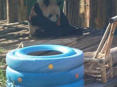 -大连森林动物园