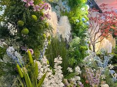 -长春青怡坊鲜花批发(青怡坊花鸟市场店)