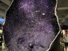 -美国自然历史博物馆