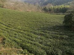 -敬亭山风景名胜区