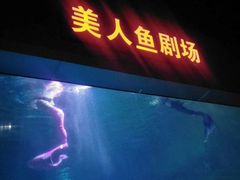 -福州罗源湾海洋世界旅游区