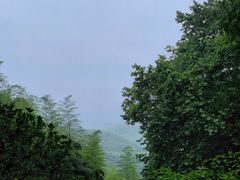 -莫干山风景区