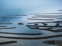 -红荔村肠粉(岗厦店)