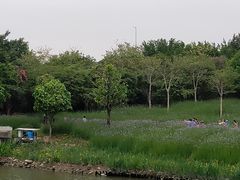 -海珠湖公园