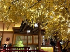-大江户·温泉洗浴(浑南店)