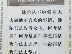 -峨眉山报国寺