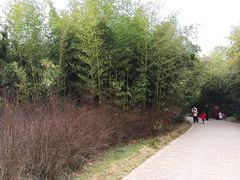 -郑州植物园
