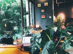 靠窗位-咖法森林·咖啡  酒吧(天河店)