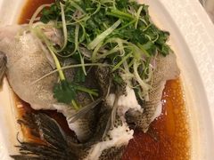 -沙龙酒家