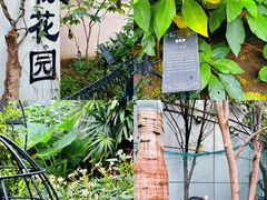 -正佳雨林生态植物园