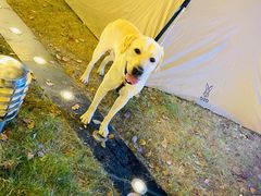 -CAMP.33露营烤肉·团建聚餐(创智天地店)