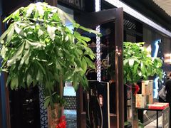-荟廷·晶萃(陆家嘴尚悦湾店)