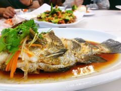 清蒸包公鱼-常家活海鲜小吃(仅一家无分店)