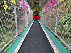 -仙岛湖旅游风景区