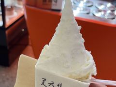 -野人先生现做冰淇淋(北京王府井东方新天地店)