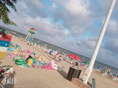 -碧海金沙