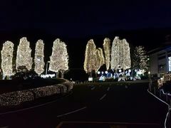 -别府杉乃井酒店