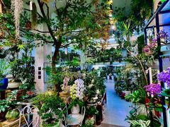 -溪岸路花鸟市场