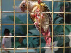 -昆明动物园