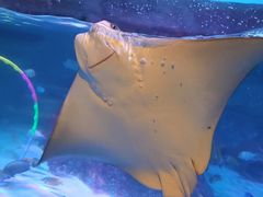 -沈阳海洋探索中心