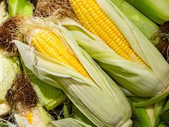 -大鹏佳兆业广场