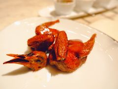 脆皮妙龄鸽-新荣记(新源南路店)