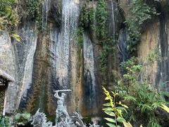 -西双版纳原始森林公园