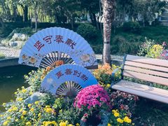 -盆景园(扬州大运河文化旅游度假区)