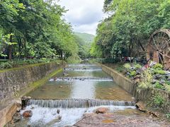 -广州白江湖森林公园