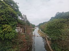 -广州市帽峰山景区