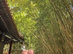 -潭柘寺景区