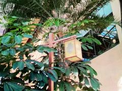 -郑州银基黄帝宫御温泉