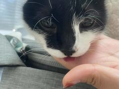 -小叮当动物医院·骨科·眼科