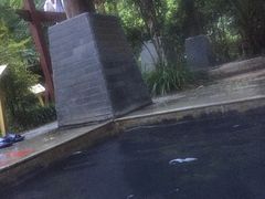 -中铁花水湾温泉酒店(大邑店)