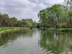 -溱湖国家湿地公园