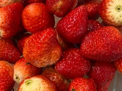 -麦德龙(嘉定店)