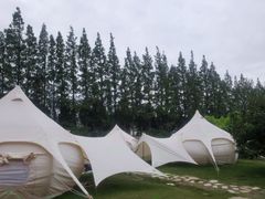 -前小桔亲子创意农场·草莓采摘·露营烧烤