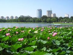 -丰台花园