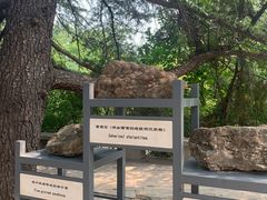 -周口店北京人遗址公园