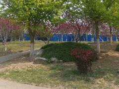 -永定河休闲森林公园