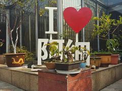 -阿细汉菜(本地盐帮菜名店)