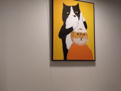 -有猫主题·治愈系猫咖(曾厝垵店)