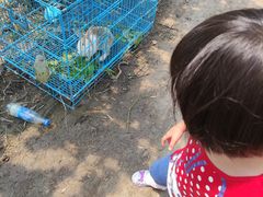 -美家乐农庄·露营·团建(大治路店)