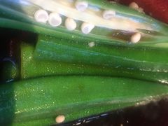 -松赞拉萨林卡酒店