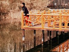 -黄海国家森林公园