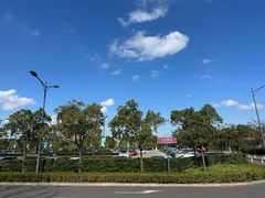 -奕欧来上海购物村停车场